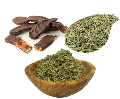 Export of Carob Rosemary and Thyme 