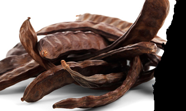 Carob exporter